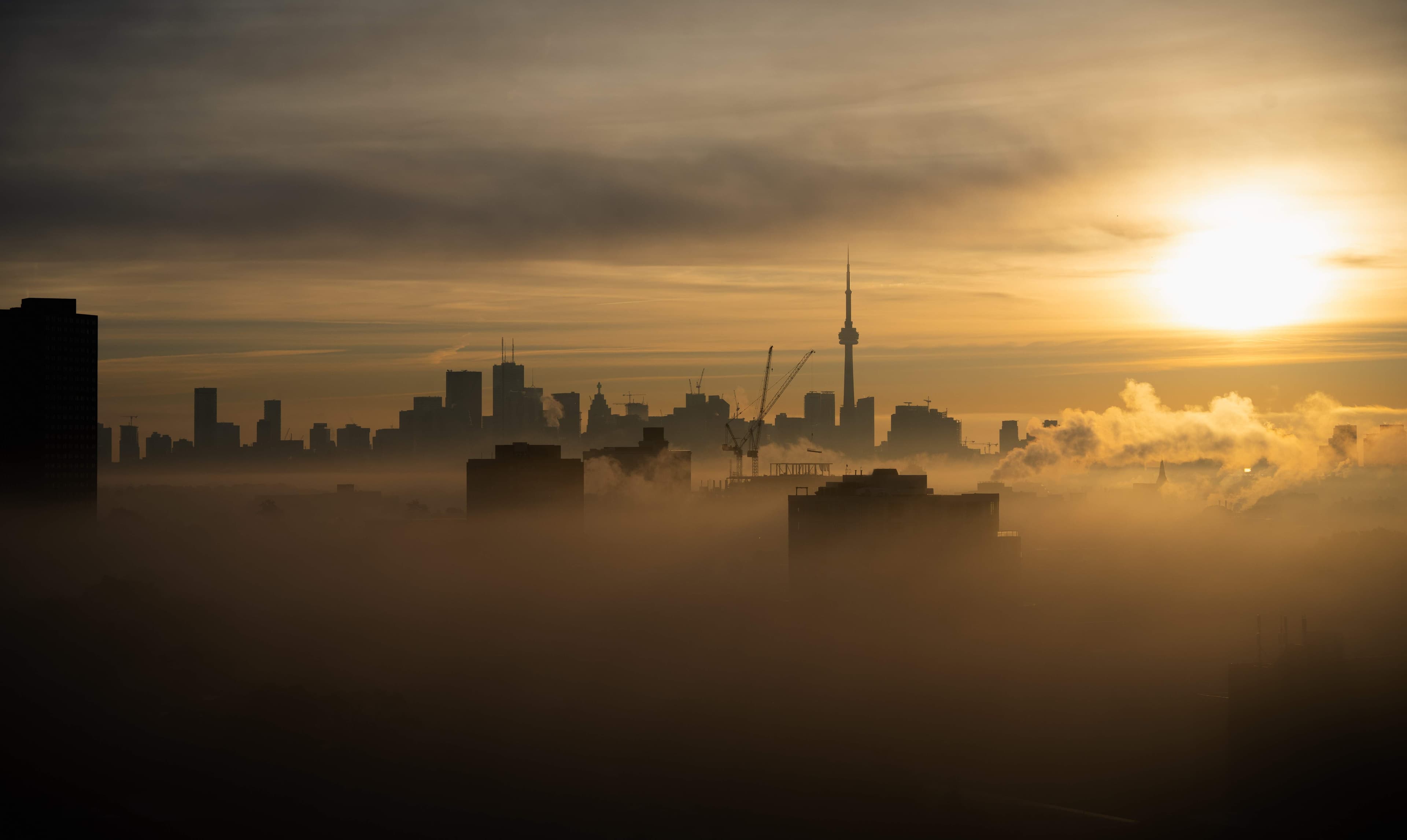 International Services